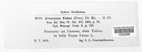 Uromyces viciae-fabae image